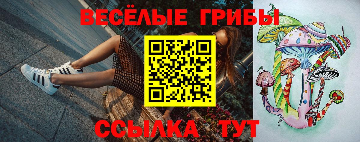Галлюциногенные грибы мицелий  Псилоцибиновые грибы Psilocybine cubensis  Норильск  Вход с VPN 